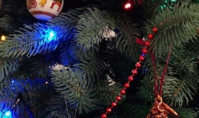 Искусственная елка – новогодняя спутница на долгие годы